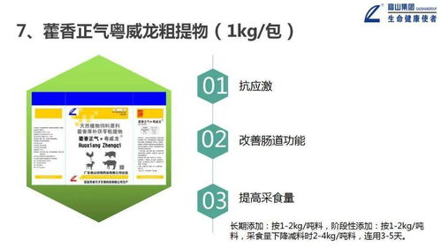 大力推進(jìn)一體化形象服務(wù)體系建設(shè)，推動(dòng)高山中獸藥向更高水平發(fā)展——信息系統(tǒng)運(yùn)行維護(hù)服務(wù)篇